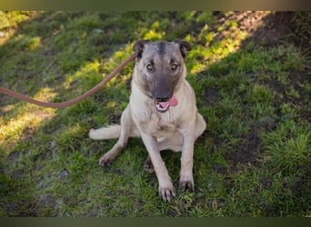 Amelie: Sanftmut trotz Schmerz