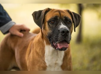 Bonita: Deine neue Wegbegleiterin?