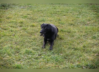 Cassius – Gern im Team unterwegs