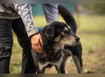 Matze: Verspielter Wirbelwind