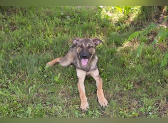 Marlee: Lebensfreude sucht Zuhause