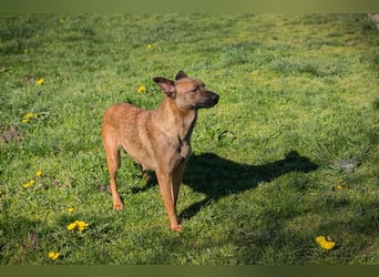 Cassy sucht ein Zuhause