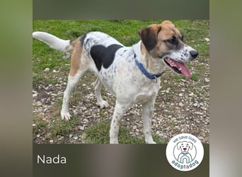 Nada sucht ihr Für-immer-Zuhause