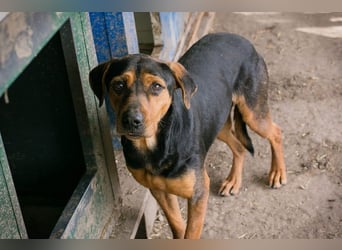 Chico – Sucht aktive Menschen!