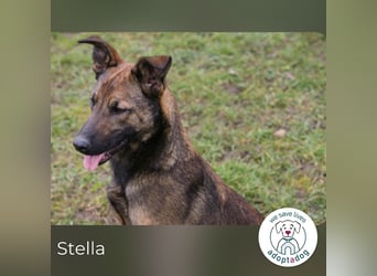 Stella möchte endlich dazugehören