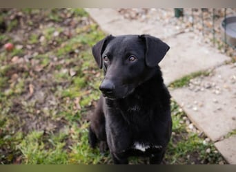 Cassius – Gern im Team unterwegs