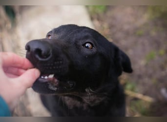 Cassius – Gern im Team unterwegs