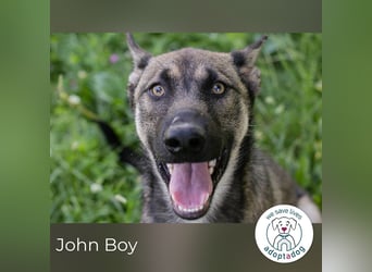 John Boy sucht ein Zuhause