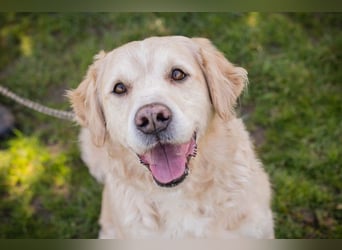 Sam sucht ein Zuhause