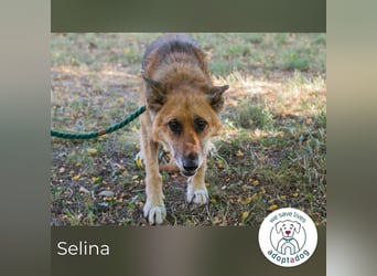 Selina sucht ein Zuhause