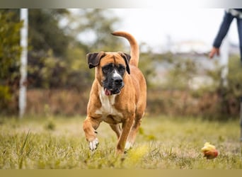 Bonita: Deine neue Wegbegleiterin?