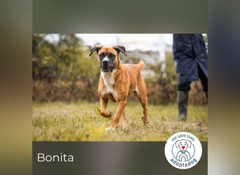 Bonita: Deine neue Wegbegleiterin?