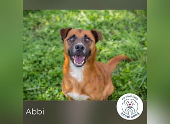 Abbi: Verdient einen Neuanfang