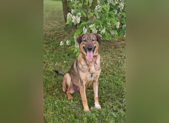 Smiley: Voller Liebe und Hoffnung