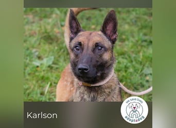 Karlson: Mit Liebe und Führung auf dem Weg ins Glück