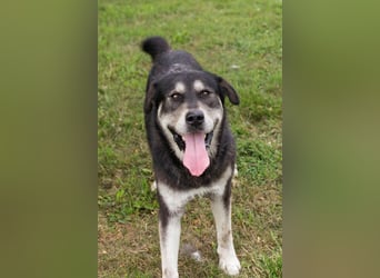 Matze: Verspielter Wirbelwind