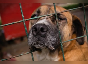 Bonita: Deine neue Wegbegleiterin?