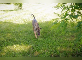 Marlee: Lebensfreude sucht Zuhause