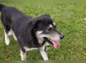 Matze: Verspielter Wirbelwind