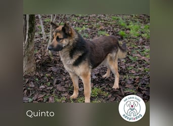 Quinto will endlich frei sein