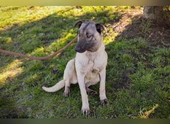 Amelie: Sanftmut trotz Schmerz