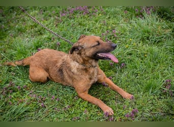 Gabi 205052 sucht ein zu Hause