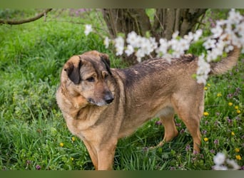 Smiley: Voller Liebe und Hoffnung
