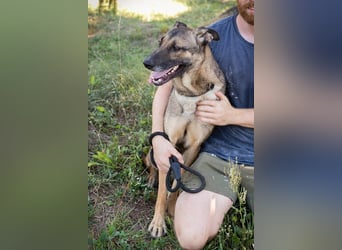 Marlee: Lebensfreude sucht Zuhause