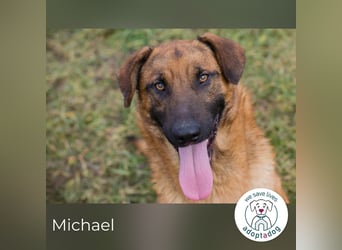 Michael will die Welt entdecken
