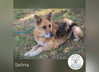 Selina sucht ein Zuhause