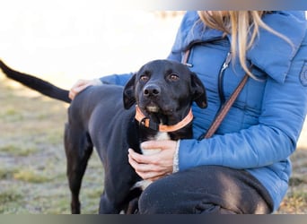 Larry: Sportskanone sucht Gleichgesinnte