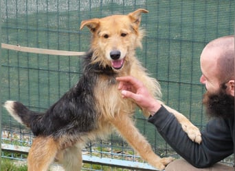 Bently: sucht Sicherheit