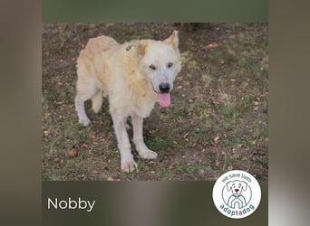 Nobby: Letzte Jahre in Geborgenheit