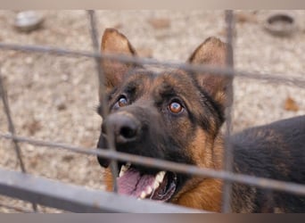 Ich bin Clint: ein Leben in der Warteschleife