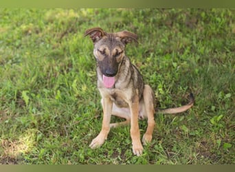 Marlee: Lebensfreude sucht Zuhause