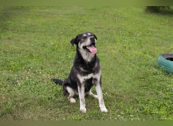 Matze: Verspielter Wirbelwind