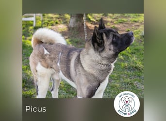 Picus Oskar: Zweite Chance fürs Leben