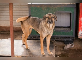 Marlee: Lebensfreude sucht Zuhause