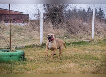 Berta: Bald ganz nah an deinem Herzen?