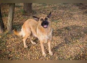 Fente: liebevolle Mama sucht fürsorgliches Zuhause