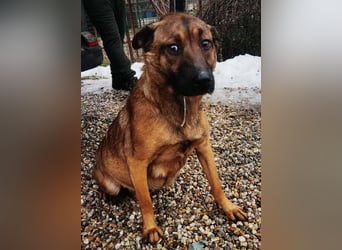 Cassy sucht ein Zuhause