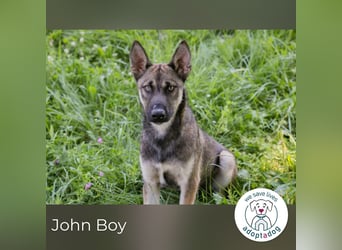 John Boy sucht ein Zuhause