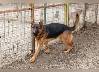 Ich bin Clint: ein Leben in der Warteschleife