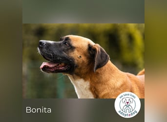 Bonita: Deine neue Wegbegleiterin?