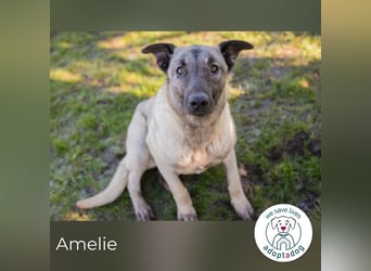 Amelie: Sanftmut trotz Schmerz