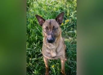 Cassy sucht ein Zuhause