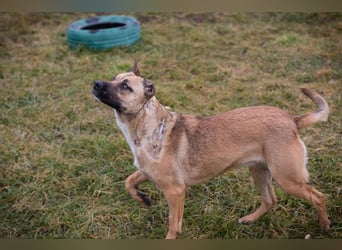 Berta: Bald ganz nah an deinem Herzen?