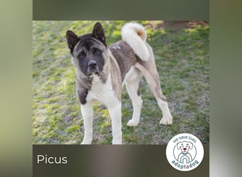 Picus Oskar: Zweite Chance fürs Leben