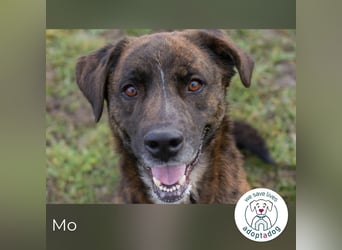 Mo: Sozial und voller Lebenslust