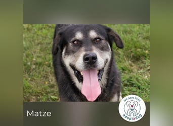 Matze: Verspielter Wirbelwind